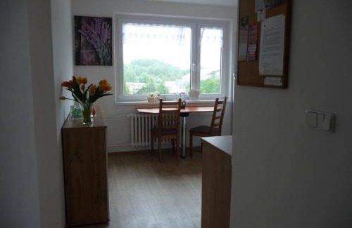 Sokolov Apartment | Apartman Q11