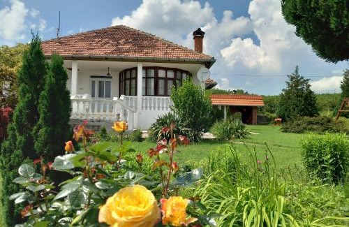 Kursumlija Apartment | Apartmani Ćosić