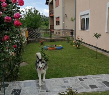 Vukovar Apartment | Apartmani Astra