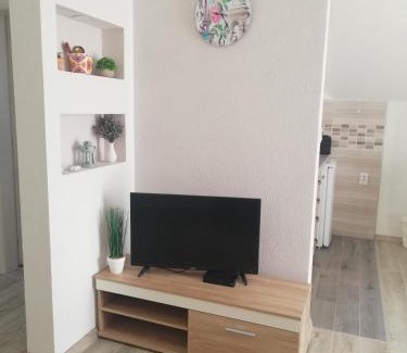 Radovici Apartment | Apartmani Beljkas