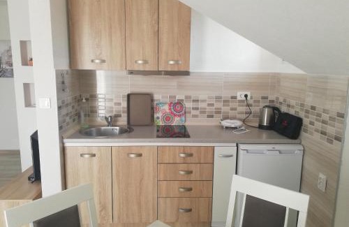 Radovici Apartment | Apartmani Beljkas
