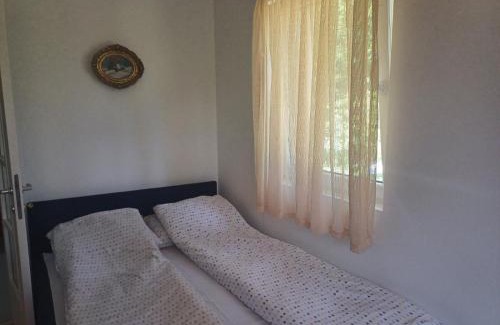 Tara National Park Apartment | Apartmani Dobrinka i Zorka