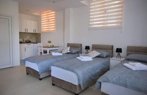 Kursumlija Apartment | Apartmani kod kumašina