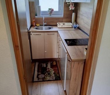 Zenica-Doboj Canton Apartment | Apartmani Vračo
