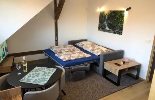 Smizany Apartment | apartmany agnieszka
