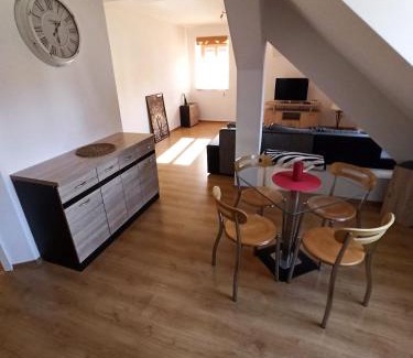Prachatice Apartment | Apartmany U Lva