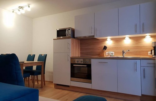 Irdning-Donnersbachtal Apartment | Apartment no. 19 with 1 bedroom, shower - Ferienwohnung Ski-Hans