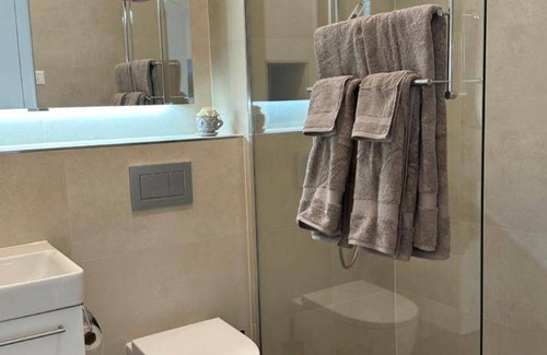 Seengen Apartment | Apartment ∙ 1 bedroom ∙ 2 guests