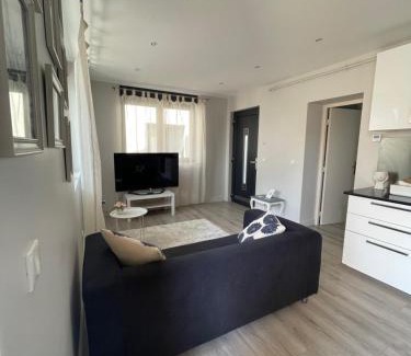 Arad Apartment | Apartment 1 confort&modern