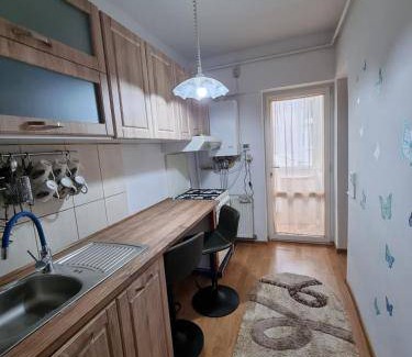 Slanic-Moldova Apartment | Apartment ∙ 1 bedroom ∙ 6 guests