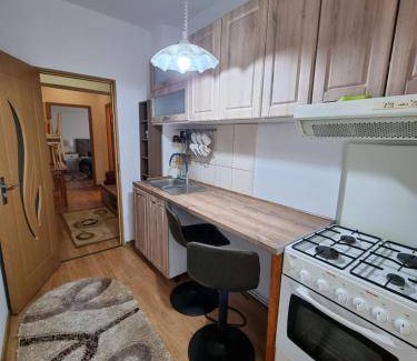 Slanic-Moldova Apartment | Apartment ∙ 1 bedroom ∙ 6 guests