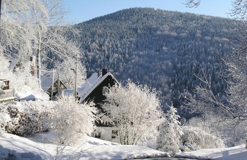 Altenberg Apartment | Apartment 1 Tellkoppe - Apartments "Villa Angelika"