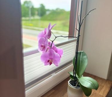 Liepaja Apartment | Apartment 107