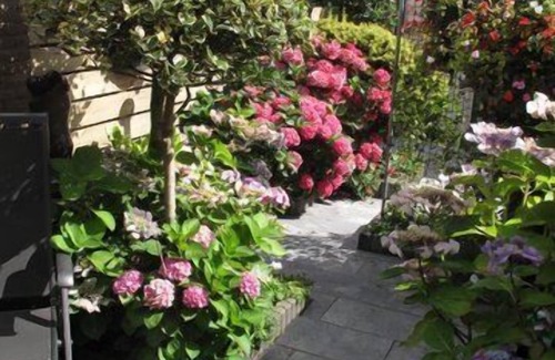 Egmond aan Zee Apartment | Apartment 2-3 pers. with private terrace 150 meters from the beach.