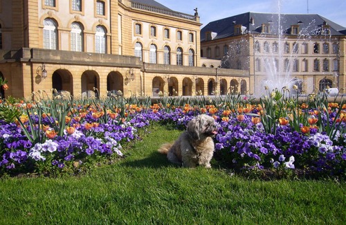 Metz-Centre – Ancienne Ville Apartment | Apartment 2* Hyper-centre Metz