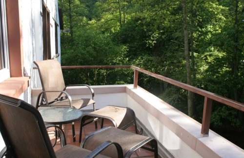 Alf Apartment | Apartment 2 - Wald Villa Üssbach