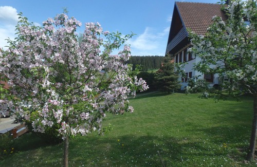 Sankt Maergen Apartment | Apartment '3-zi-fewo' with Shared Terrace, Shared Garden and Wi-Fi