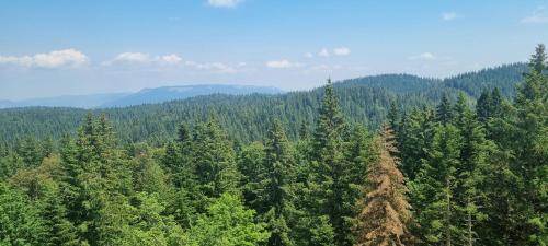 Jahorina Apartment | Apartment 505 - Zlatni javor