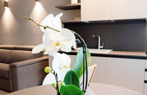 Citta Bassa Apartment | Apartment 6