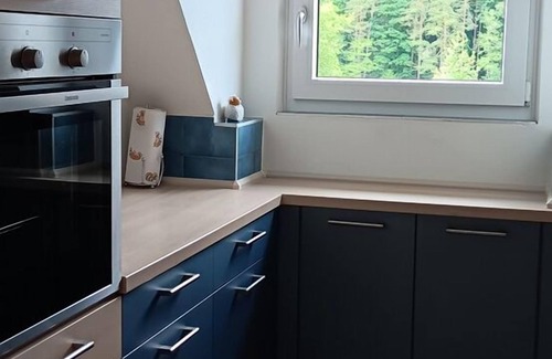 Bodenwoehr Apartment | Apartment 97sqm with balcony and bathroom with shower and bathtub