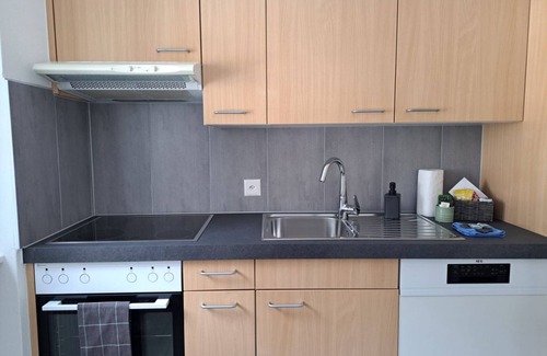 Airolo Apartment | Apartment a stone's throw from the ski slopes (Airolo Valley 1)
