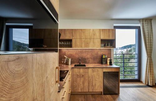 Spindleruv Mlyn Apartment | Apartment Adélka 106 Špindlerův Mlýn