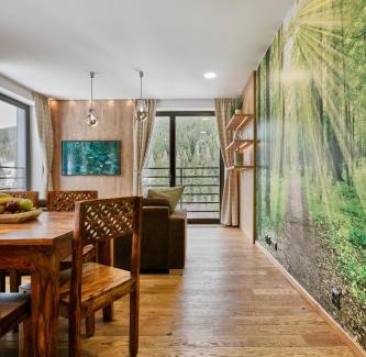 Spindleruv Mlyn Apartment | Apartment Adélka 106 Špindlerův Mlýn