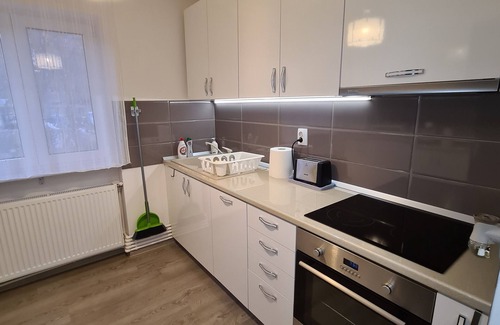 Emanoil Gojdu Apartment | Apartment Alina Deva
