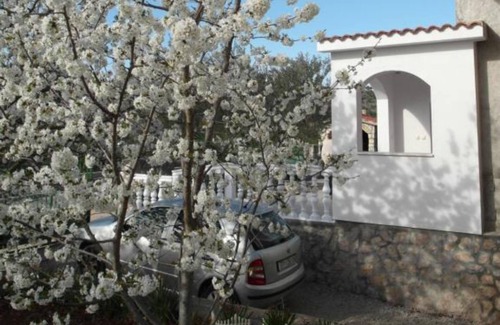 Bilice Apartment | Apartment Antonio