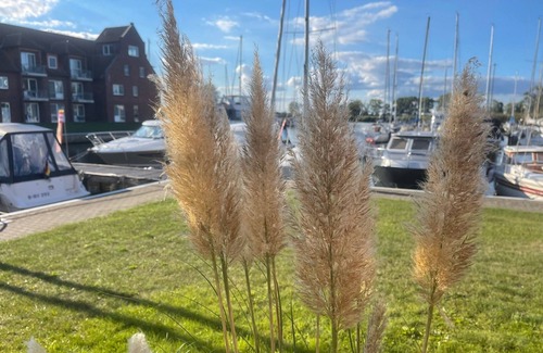 Ueckermuende Apartment | Apartment/apartment for 6 guests with 61m² in Ueckermünde (55049)