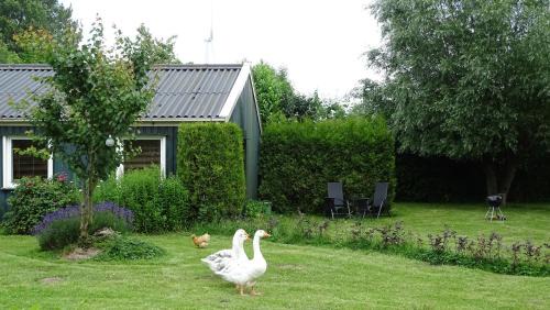 Nooitgedacht House | Apartment ARDA