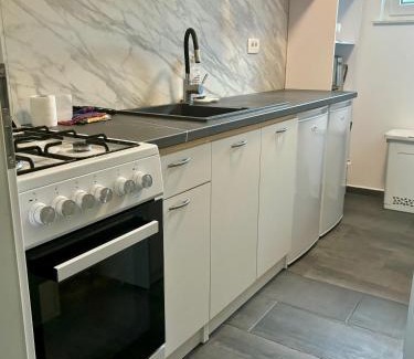 Radovljica Apartment | Apartment BellArt with Sauna