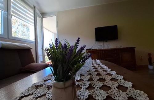 Travnik Apartment | Apartment Borac Travnik