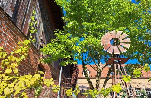 Flieth Other | Apartment "Boskoop" with terrace - Apartments Liebisch