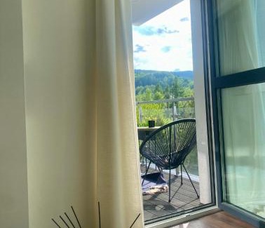 Meszna Apartment | Apartment Business Szyndzielnia