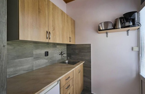 Harrachov Apartment | Apartment by Interhome