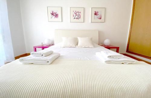 Castelo Branco Apartment | Apartment Castelo Branco - Portugal