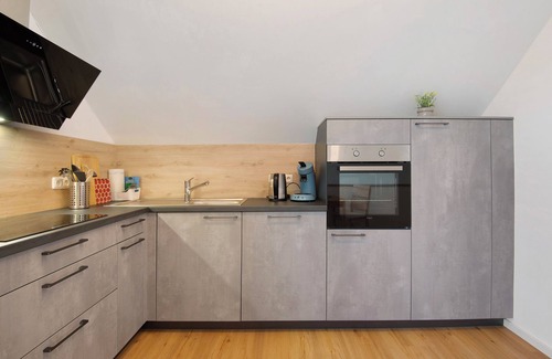 Tegernheim Apartment | Apartment 'Dachstudio Am Donau Rad Weg' with Mountain View, Balcony and Wi-Fi