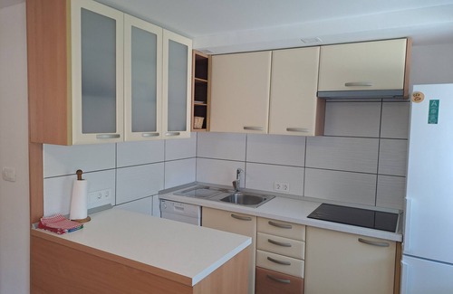 Kranjska Gora Apartment | Apartment Danica in Kranjska Gora