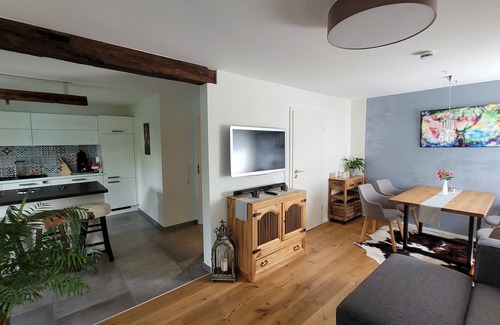 Haslach im Kinzigtal Apartment | Apartment 'Schwarzwald-Traum' with Mountain View, Private Terrace and Wi-Fi