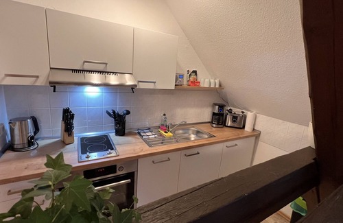 Wurzen Apartment | Apartment-Deluxe-Private Bathroom-Woodland view-König Georg 2