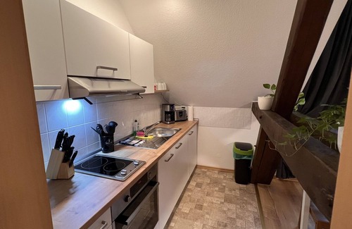 Wurzen Apartment | Apartment-Deluxe-Private Bathroom-Woodland view-König Georg 2