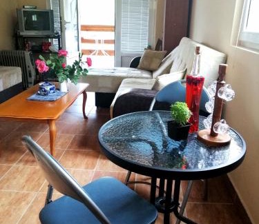 Bajina Basta Apartment | Apartment Dobra vila