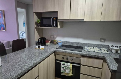 Temuco Apartment | Apartment Downtown Temuco