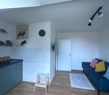 Predni Kopanina Apartment | Apartment Drahuska