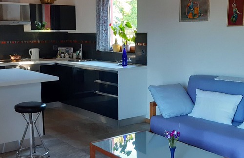 Carona Apartment | Apartment Duplex with lake view