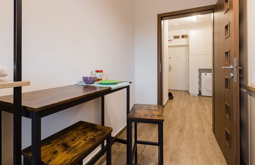 Timisoara Apartment | Apartment Ensity with balcony