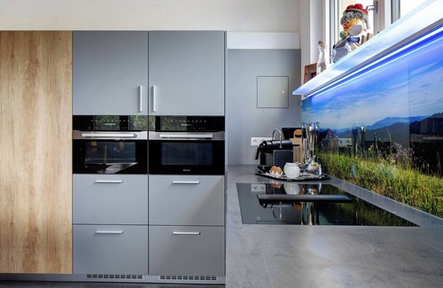 Hofsgrund Apartment | Apartment 'Fewo Schwarzwaldflair Mit Eventraum' with Private Terrace and Wi-Fi