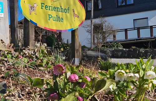 Helden Apartment | Apartment 'Ferienwohnung Haferkiste' with Mountain View, Shared Terrace and Wi-Fi