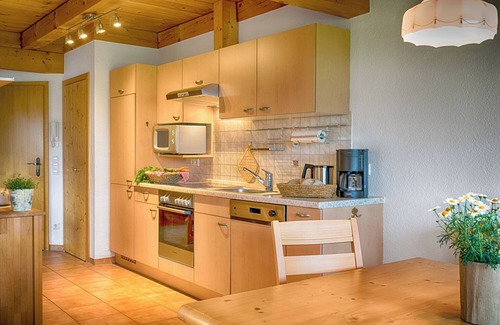 Breitnau Apartment | Apartment 'Ferienwohnung Storchennest' with Mountain View, Shared Garden and Wi-Fi